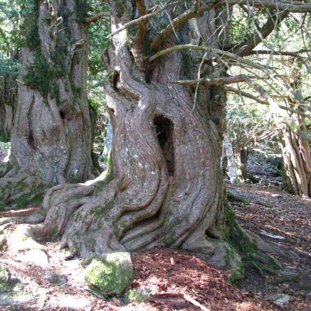 senderismo principiantes Tosande senderismo principiantes Tosande