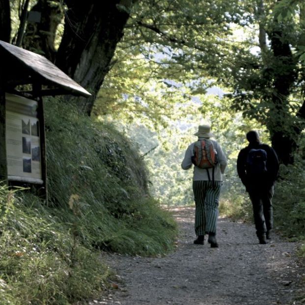 Devesa da Rogueria Devesa da Rogueria