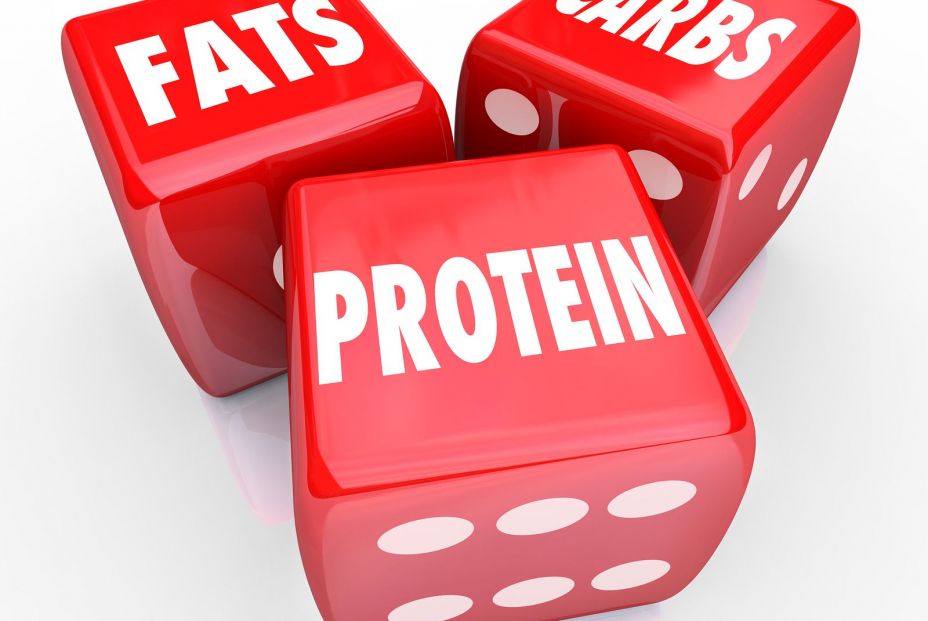 Macronutrientes: carbohidratos, proteínas y grasas Macronutrientes: carbohidratos, proteínas y grasas