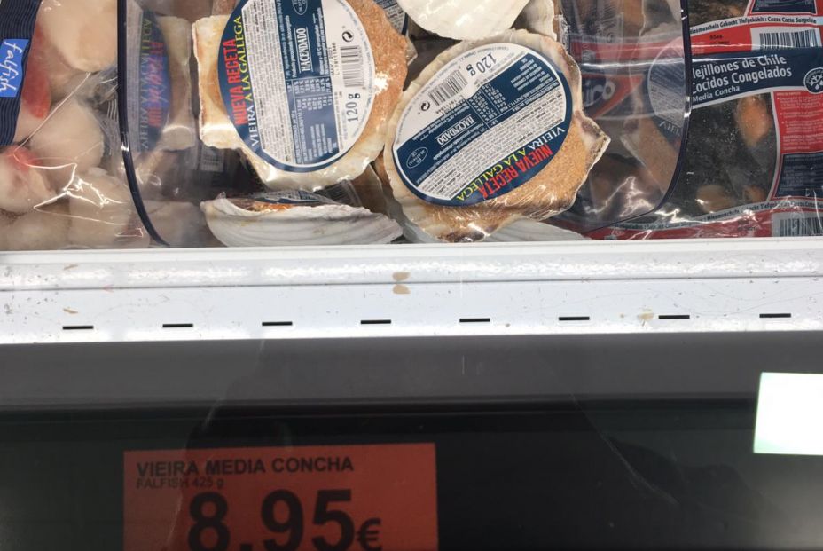 10 vieira media concha 10 vieira media concha