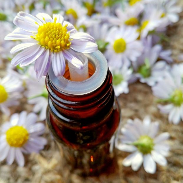 Cuidado con el uso de ciertas cremas y cosméticos: podrían provocar erupciones y lesiones cutáneas Cuidado con el uso de ciertas cremas y cosméticos: podrían provocar erupciones y lesiones cutáneas