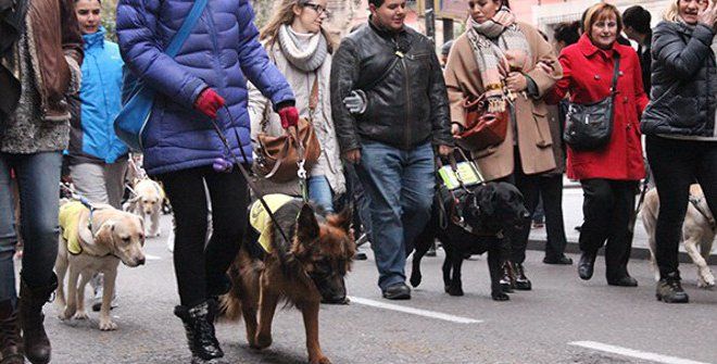 fiestas de san anton 2 fiestas de san anton 2