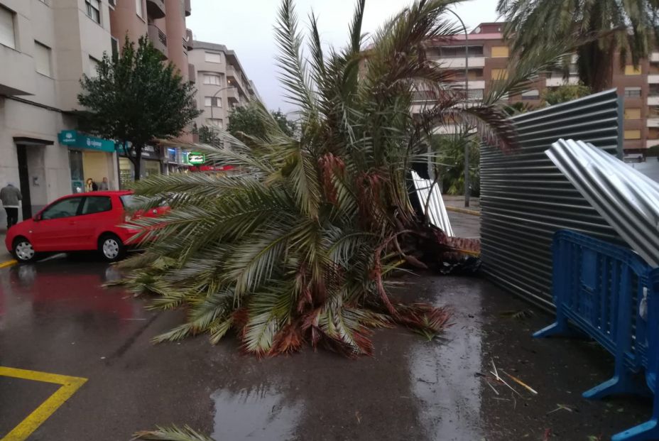 Muere una mujer en Gandia por el temporal Gloria Muere una mujer en Gandia por el temporal Gloria