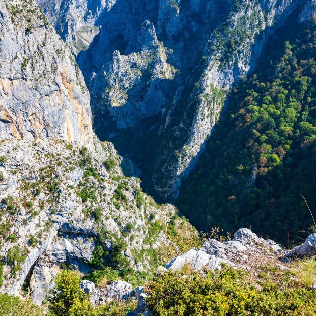 Desfiladero de la Hermida desde el camino a Tresviso Desfiladero de la Hermida desde el camino a Tresviso