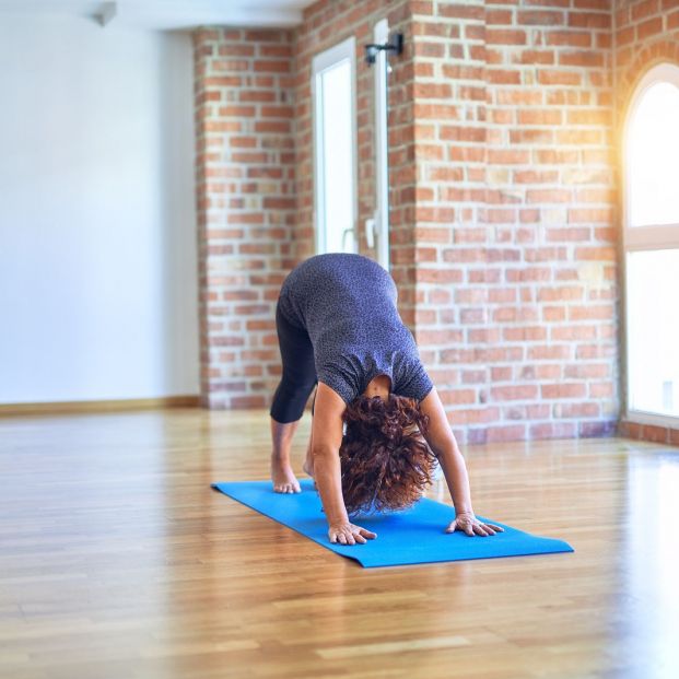 Postura perro Postura perro