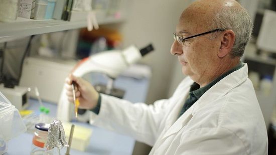 Francis Mojica Francis Mojica