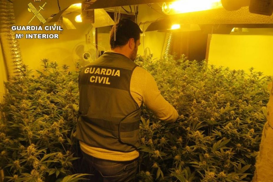 Alcoleja, el pueblo de Alicante que casi se queda sin luz por un cultivo de marihuana Alcoleja, el pueblo de Alicante que casi se queda sin luz por un cultivo de marihuana