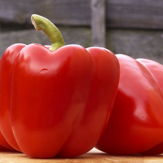 ¿Asma en mayores? Gracias a estos alimentos podrán combatir sus síntomas