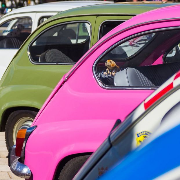  Dónde disfrutar de Concentraciones de cochesclásicos (bigstock)