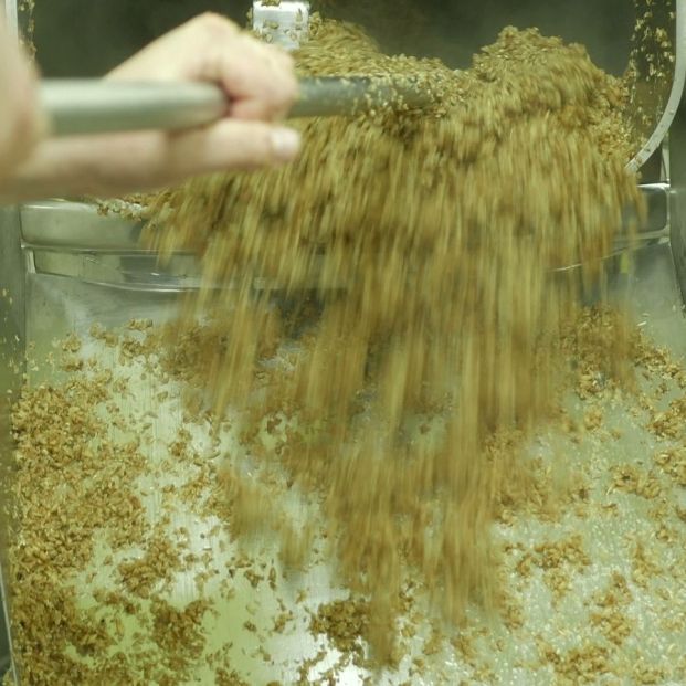 Obtención de la levadura de cerveza