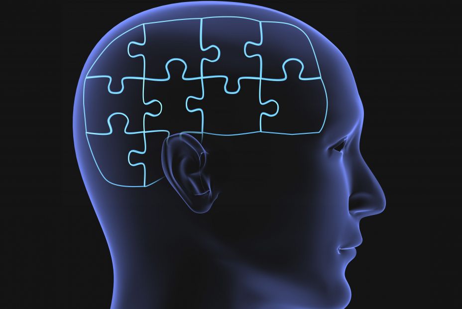 alzhéimer cerebro. alzhéimer cerebro.