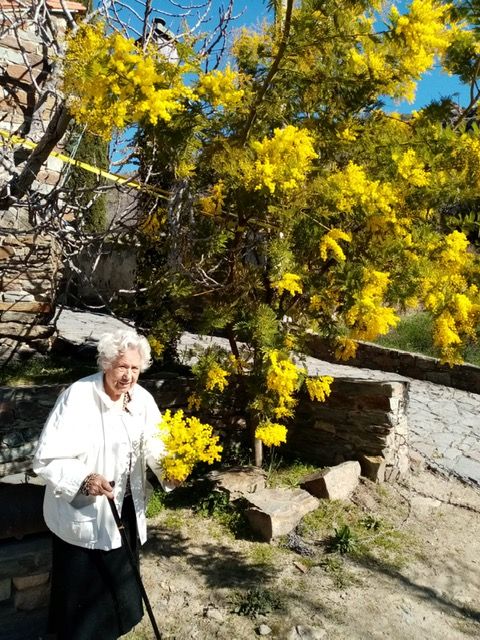 PHOTO 2020 02 25 16 38 48 PHOTO 2020 02 25 16 38 48