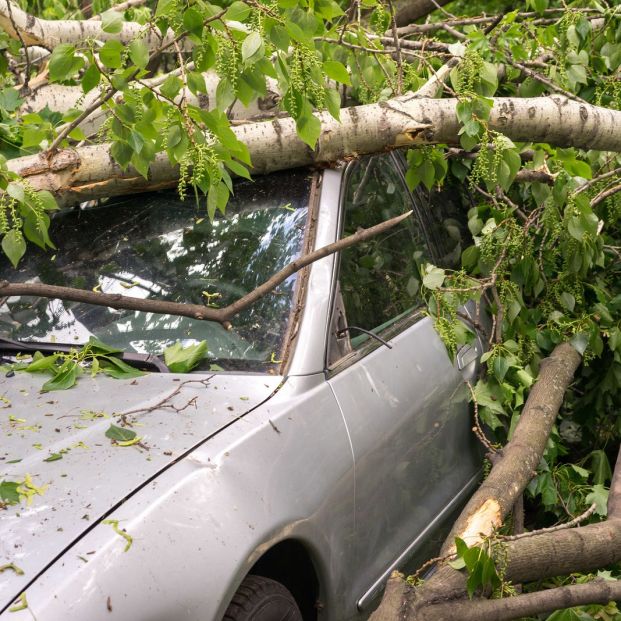 El Consorcio de Compensación solo cubre determinados daños El Consorcio de Compensación solo cubre determinados daños