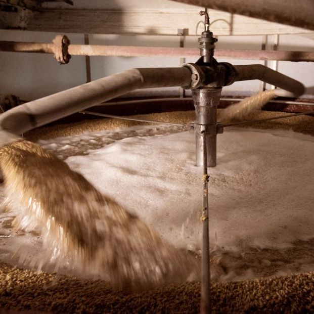 4 fábricas de cerveza en España que abren sus puertas al público