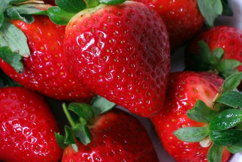 propiedades y beneficios de las fresas
