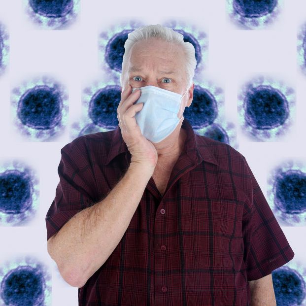 ¿Puede mi mascota tener coronavirus? ¿Existe riesgo de que me pueda contagiar? ¿Puede mi mascota tener coronavirus? ¿Existe riesgo de que me pueda contagiar?