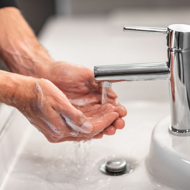 ¿Puede mi mascota tener coronavirus? ¿Existe riesgo de que me pueda contagiar? ¿Puede mi mascota tener coronavirus? ¿Existe riesgo de que me pueda contagiar?