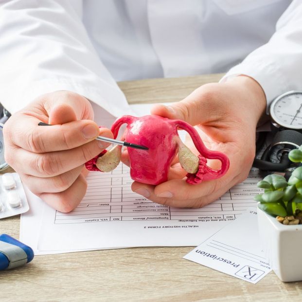 doctora mostrando el útero