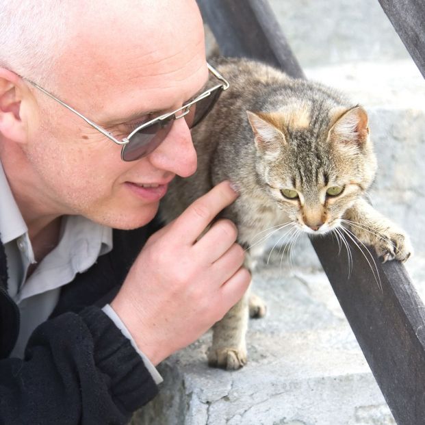 Qué razas de gatos provocan menos alergias (bigstock) Qué razas de gatos provocan menos alergias (bigstock)