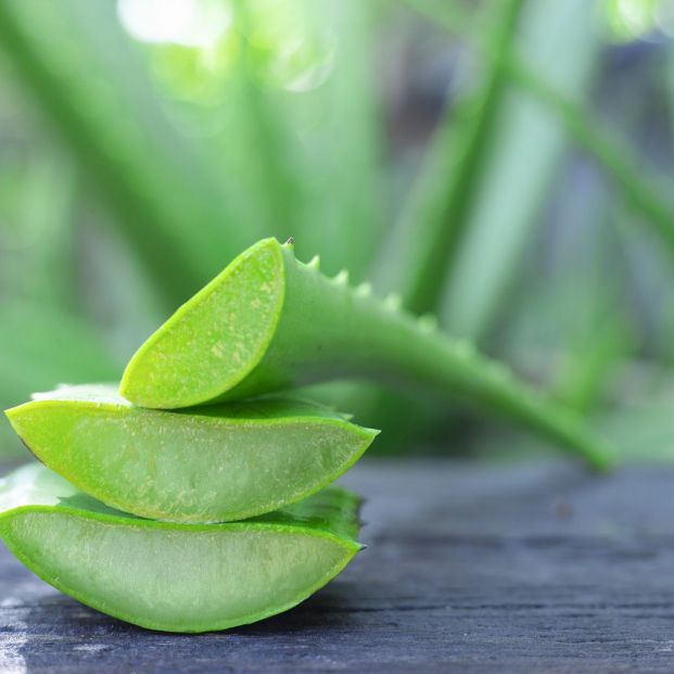 ¿Hay remedios caseros para eliminar moretones en personas mayores? ¿Hay remedios caseros para eliminar moretones en personas mayores?