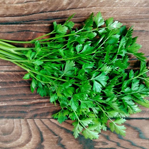 Algo que puede pasarle a cualquiera de manera inocente. Una inoportuna caída que provoque que en la zona donde se haya dado el golpe la piel adquiera un tono entre morado y amarillento. Es un moretón que se produce cuando los capilares, los vasos sanguíneos pequeños, que están más en contacto con la piel se rompen debido a ese fuerte golpe. Un efecto antiéstético que en la mayoría de los casos no reviste de mayor gravedad, que se puede solventar sin apenas tratamiento en unos días y para el que se pueden seguir algunos trucos caseros que favorezcan la recuperación cutánea. Remedios que pueden ayudar La primera de las recomendaciones caseras en este caso pasa por el empleo del aloe vera para hacer cremas naturales que resultarán muy beneficiosas en este caso. Y todo gracias a sus propiedades antiinflamatorias y regerneradoras Estas actúan sobre la zona dañada haciendo que poco a poco vaya reduciéndose la molestia por el golpe, así como la posible inflamación que acompaña a la lesión. ¿Hay remedios caseros para eliminar moretones en personas mayores? Una hinchazón que también puede poco a poco desaparecer si se aplica hielo. Eso sí, en este caso no se debe hacer, por precaución, directamente sobre la piel sino mejor envueltos unos cubitos en una paño limpio.De esta manera, el frío hará que los vasos sanguíneos que han provocado el moretón se contraigan y se mejore el aspecto cutáneo del hematoma.Otro remedio clásico donde los haya es preparar una mezcla, en forma de pasta, de sal y limón y aplicarla sobre el brazo o la pierna donde se localiza el moretón que tiene la persona mayor. Se dejará que haga su efecto durante una media hora y se retira con agua tibia. Se puede repetir este mismo truco casero varios días para ir viendo la evolución del golpe. El mismo efecto antiinflamatorio que tenía el aloe vera se repite también en el caso de la caléndula. Y es que se trata de una planta, como recuerdan expertos de la Universidad de Ciencias Médicas de Poznan en Polonia (@PUMS_tweets), que ha demostrado sus efectos para aliviar todo tipo de molestias y afecciones cutáneas. Y todo gracias a su alto contenido en flavonides que facilitan la recuperación en el caso de heridas, moretones y todo tipo de erupciones cutáneas en mayores.También es un remedio natural muy útil en este caso es hacer un aceite esencial con hojas de menta para aliviar las posibles molestias que pueda sentir la piel golpeada. Incluso el perejil, por increible que parezca, es otros de los trucos caseros más habituales en este caso. En esta ocasión entre sus componentes hay un aceite que se denomina eugenol cuya característica más destacada es que sirve de analgésico natural. Así pues, se puede coger un ramillete y macharlo para que poco a poco salgan una especie de líquido que se puede aplicar encima del hematoma. Algo que puede pasarle a cualquiera de manera inocente. Una inoportuna caída que provoque que en la zona donde se haya dado el golpe la piel adquiera un tono entre morado y amarillento. Es un moretón que se produce cuando los capilares, los vasos sanguíneos pequeños, que están más en contacto con la piel se rompen debido a ese fuerte golpe. Un efecto antiéstético que en la mayoría de los casos no reviste de mayor gravedad, que se puede solventar sin apenas tratamiento en unos días y para el que se pueden seguir algunos trucos caseros que favorezcan la recuperación cutánea. Remedios que pueden ayudar La primera de las recomendaciones caseras en este caso pasa por el empleo del aloe vera para hacer cremas naturales que resultarán muy beneficiosas en este caso. Y todo gracias a sus propiedades antiinflamatorias y regerneradoras Estas actúan sobre la zona dañada haciendo que poco a poco vaya reduciéndose la molestia por el golpe, así como la posible inflamación que acompaña a la lesión. ¿Hay remedios caseros para eliminar moretones en personas mayores? Una hinchazón que también puede poco a poco desaparecer si se aplica hielo. Eso sí, en este caso no se debe hacer, por precaución, directamente sobre la piel sino mejor envueltos unos cubitos en una paño limpio.De esta manera, el frío hará que los vasos sanguíneos que han provocado el moretón se contraigan y se mejore el aspecto cutáneo del hematoma.Otro remedio clásico donde los haya es preparar una mezcla, en forma de pasta, de sal y limón y aplicarla sobre el brazo o la pierna donde se localiza el moretón que tiene la persona mayor. Se dejará que haga su efecto durante una media hora y se retira con agua tibia. Se puede repetir este mismo truco casero varios días para ir viendo la evolución del golpe. El mismo efecto antiinflamatorio que tenía el aloe vera se repite también en el caso de la caléndula. Y es que se trata de una planta, como recuerdan expertos de la Universidad de Ciencias Médicas de Poznan en Polonia (@PUMS_tweets), que ha demostrado sus efectos para aliviar todo tipo de molestias y afecciones cutáneas. Y todo gracias a su alto contenido en flavonides que facilitan la recuperación en el caso de heridas, moretones y todo tipo de erupciones cutáneas en mayores.También es un remedio natural muy útil en este caso es hacer un aceite esencial con hojas de menta para aliviar las posibles molestias que pueda sentir la piel golpeada. Incluso el perejil, por increible que parezca, es otros de los trucos caseros más habituales en este caso. En esta ocasión entre sus componentes hay un aceite que se denomina eugenol cuya característica más destacada es que sirve de analgésico natural. Así pues, se puede coger un ramillete y macharlo para que poco a poco salgan una especie de líquido que se puede aplicar encima del hematoma.