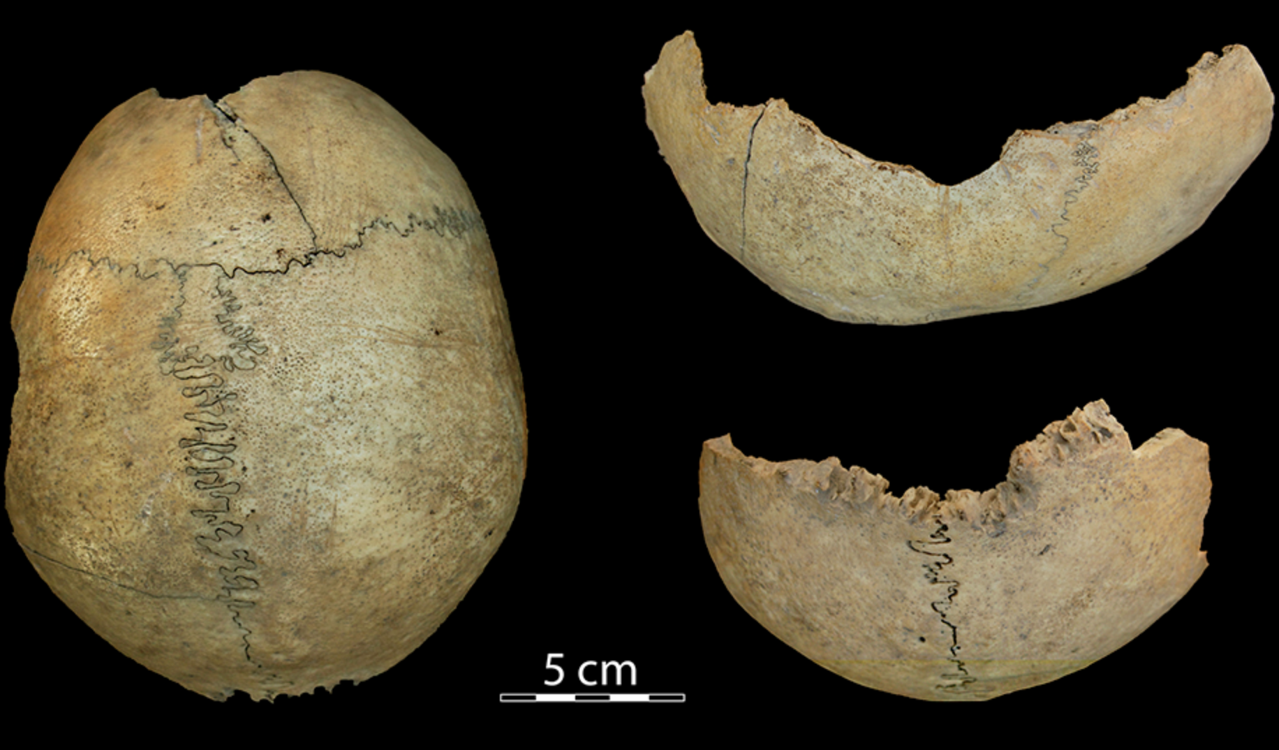 Caníbales del Neolítico en Antequera