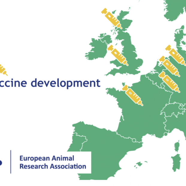 Mapa de EARA Mapa de EARA