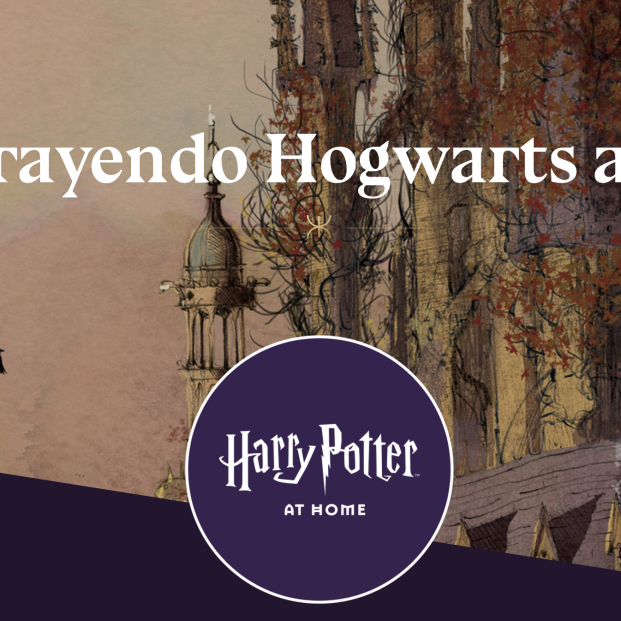 Harry Potter Harry Potter