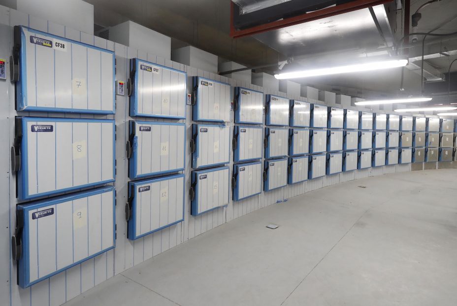 El recuento de muertes que el Gobierno ha pedido a los Registros es una misión imposible El recuento de muertes que el Gobierno ha pedido a los Registros es una misión imposible