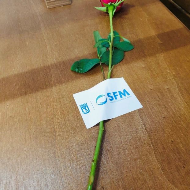 Servicios Funerarios de Madrid. Una rosa en cada féretro. Foto: EuropaPress 