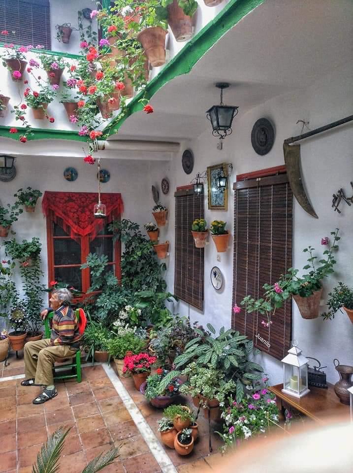 Pilar Cernuda: Los patios de Córdoba
