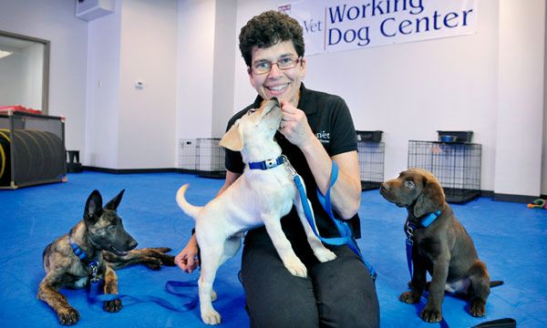 Cynthia Otto Cynthia Otto