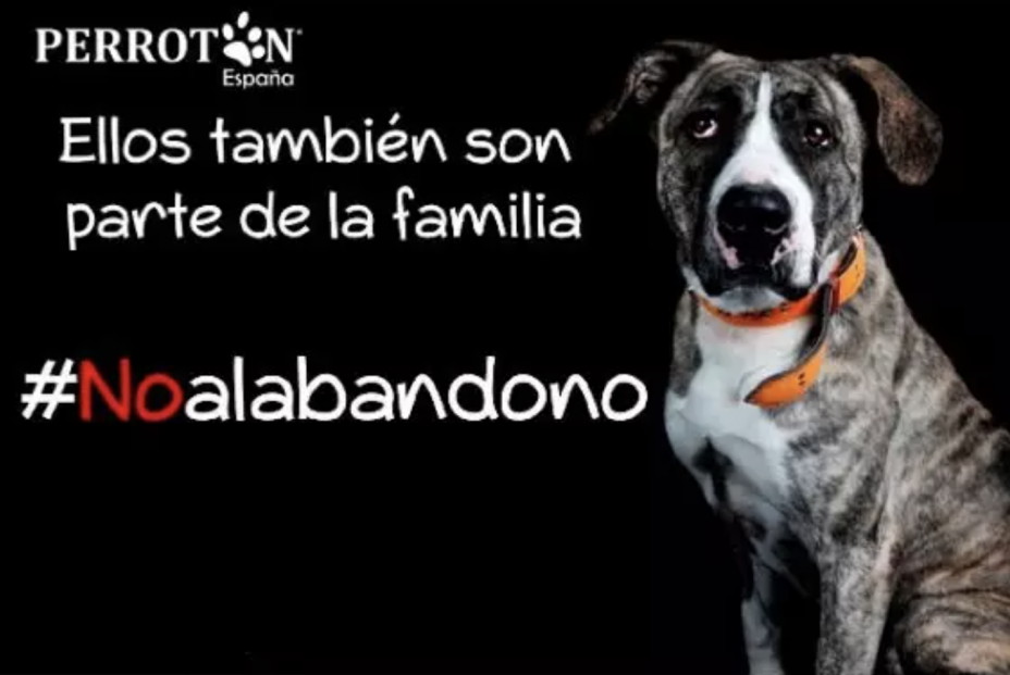 #QuedateConMiDog, evitar el abandono tras el confinamiento