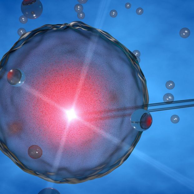 Óvulo. Foto: Europa Press Óvulo. Foto: Europa Press