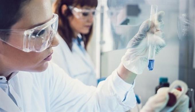 Vacuna con respuesta inmunológica positiva. Foto: Europa Press Vacuna con respuesta inmunológica positiva. Foto: Europa Press