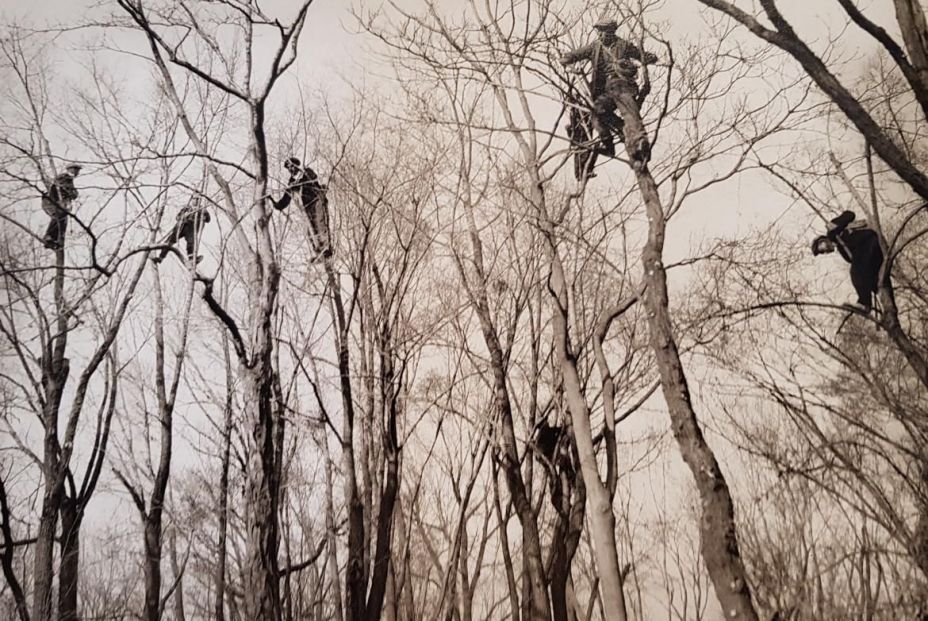 Santos Yubero Santos Yubero