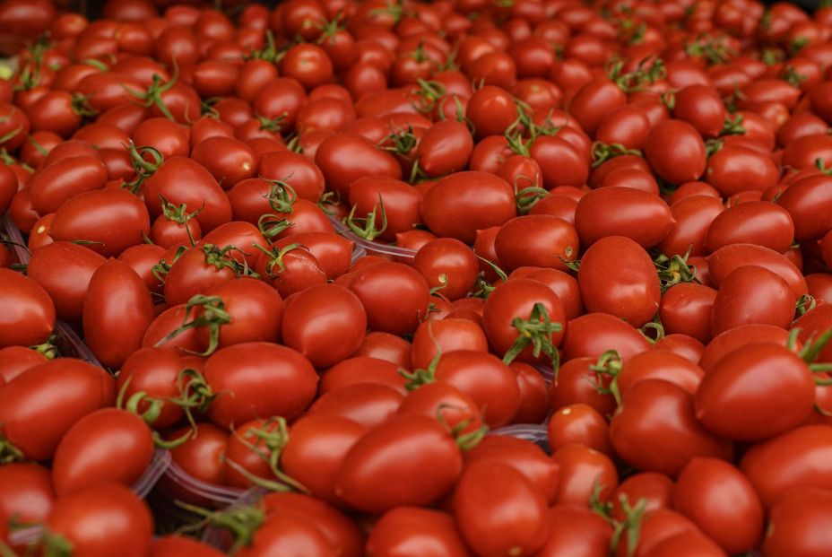 bigstock Bright Red Fresh Ripe Juicy To 339683503 bigstock Bright Red Fresh Ripe Juicy To 339683503