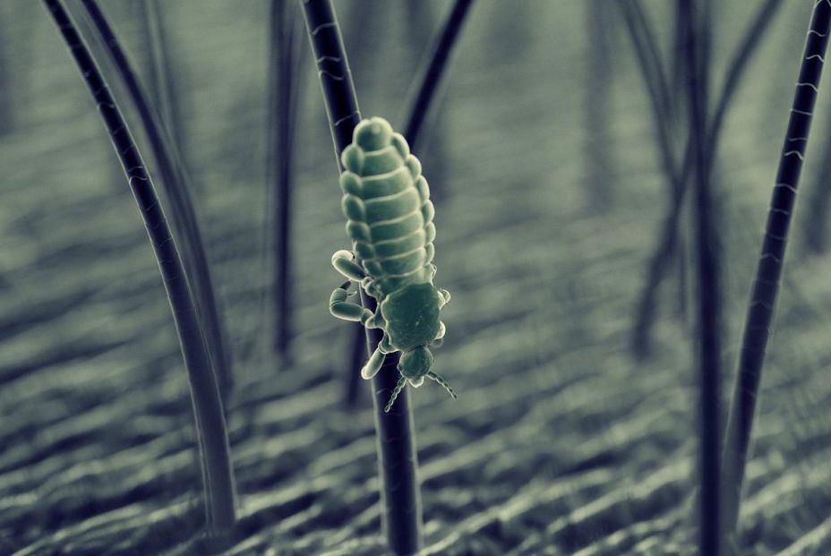 bigstockd rendered illustration of a308045359