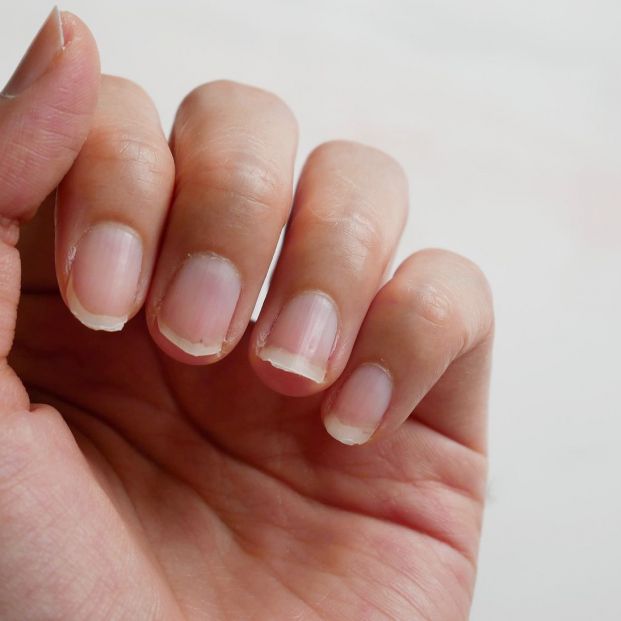 bigstock205767772 bigstock205767772