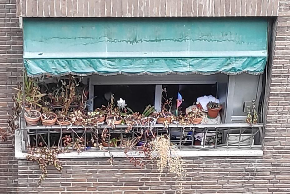 Cicatrices de una pandemia: la historia tras la foto del balcón más triste de Madrid