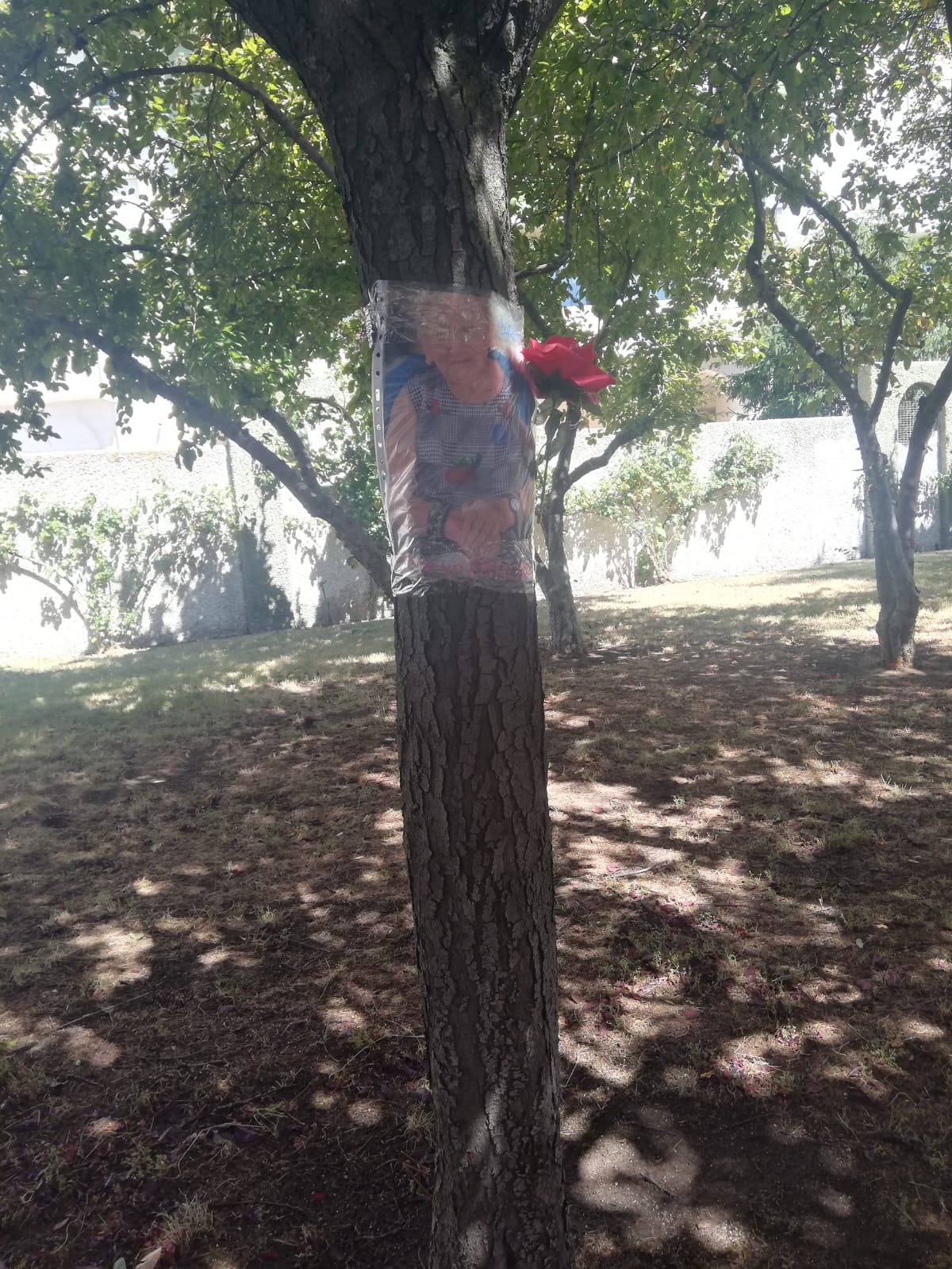 Emotivo homenaje a los mayores fallecidos en residencias