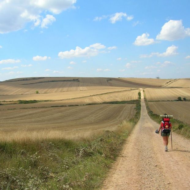 Peregrino atravesando un trigal (FreeCat:Flickr) Peregrino atravesando un trigal (FreeCat:Flickr)
