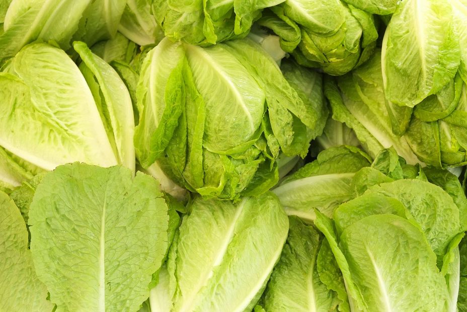 bigstock Spring Summer Detox Fruit Vege 244939159 bigstock Spring Summer Detox Fruit Vege 244939159