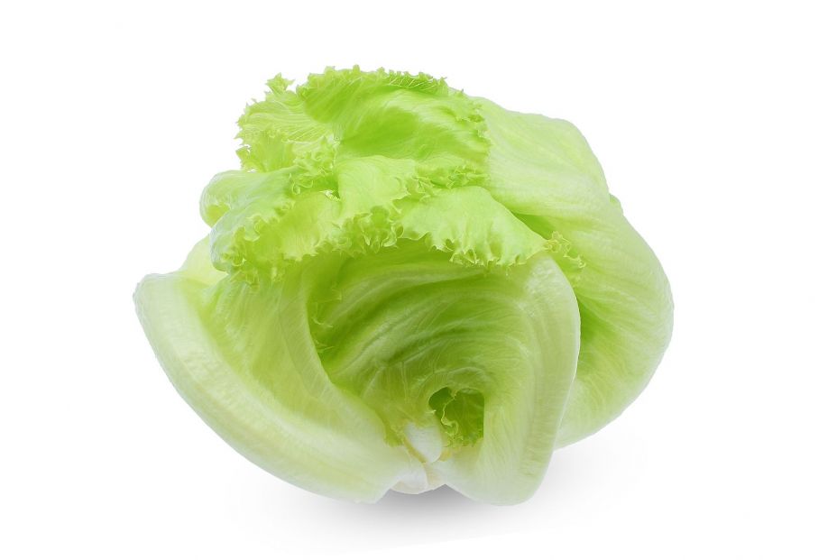 bigstock Green Iceberg Lettuce Isolated 306091168 bigstock Green Iceberg Lettuce Isolated 306091168