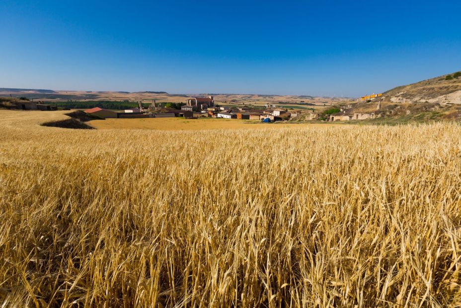 bigstock European Summer Landscape With 370059004 bigstock European Summer Landscape With 370059004