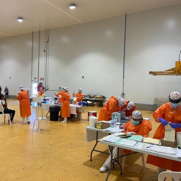 EuropaPress 3201689 pruebas pcr realizadas hoy empresa hortofruticola cinca EuropaPress 3201689 pruebas pcr realizadas hoy empresa hortofruticola cinca