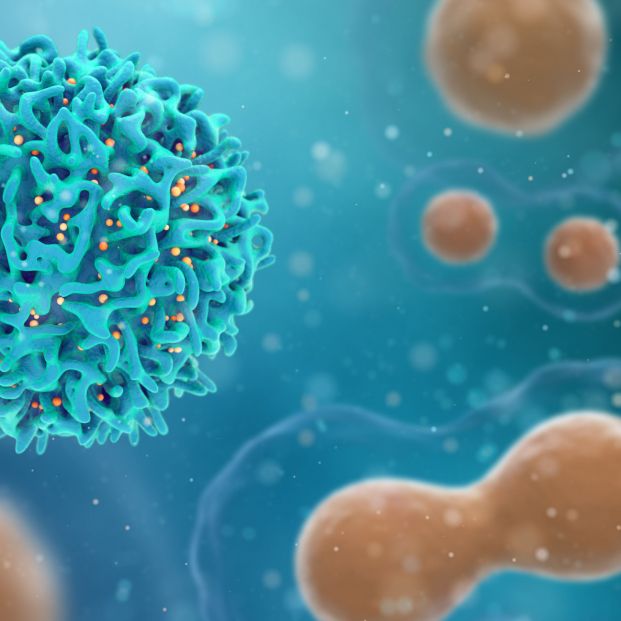 Desarrollan el primer fármaco efectivo en un tipo de cáncer sin tratamiento Desarrollan el primer fármaco efectivo en un tipo de cáncer sin tratamiento