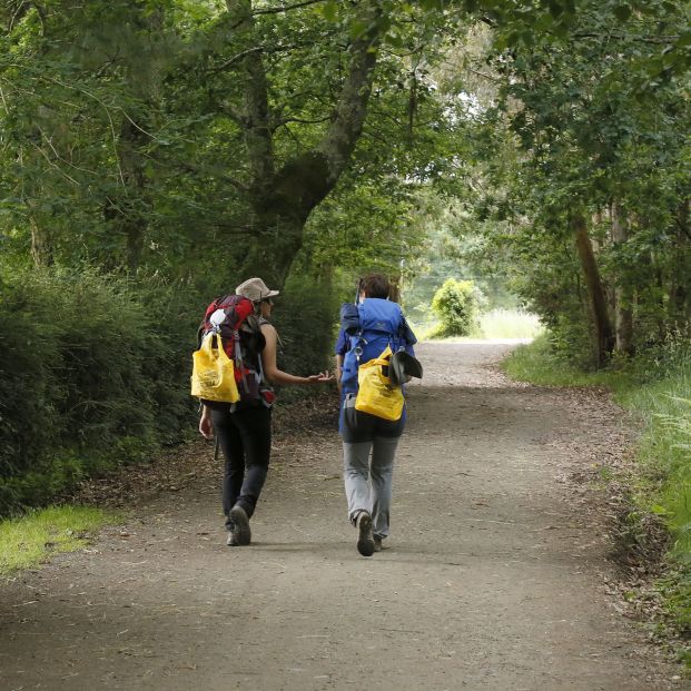 Peregrinos en el Camino de Santiago. Foto: Europa Press