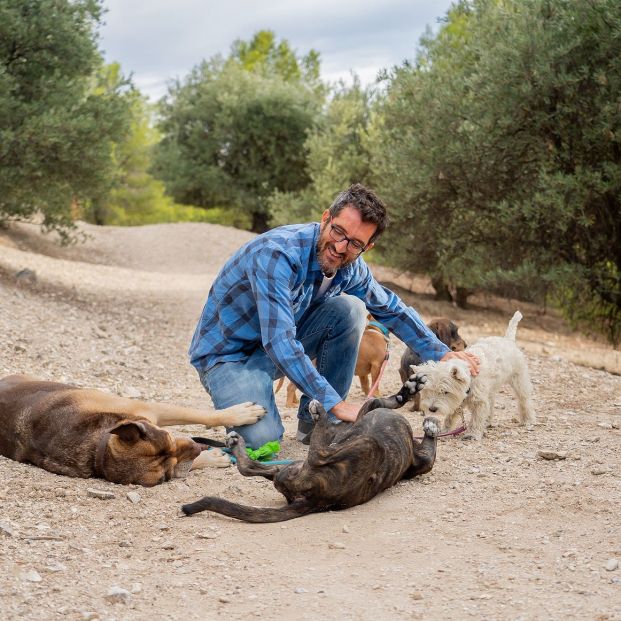 bigstock Professional Dog Walker Having 347873926 bigstock Professional Dog Walker Having 347873926