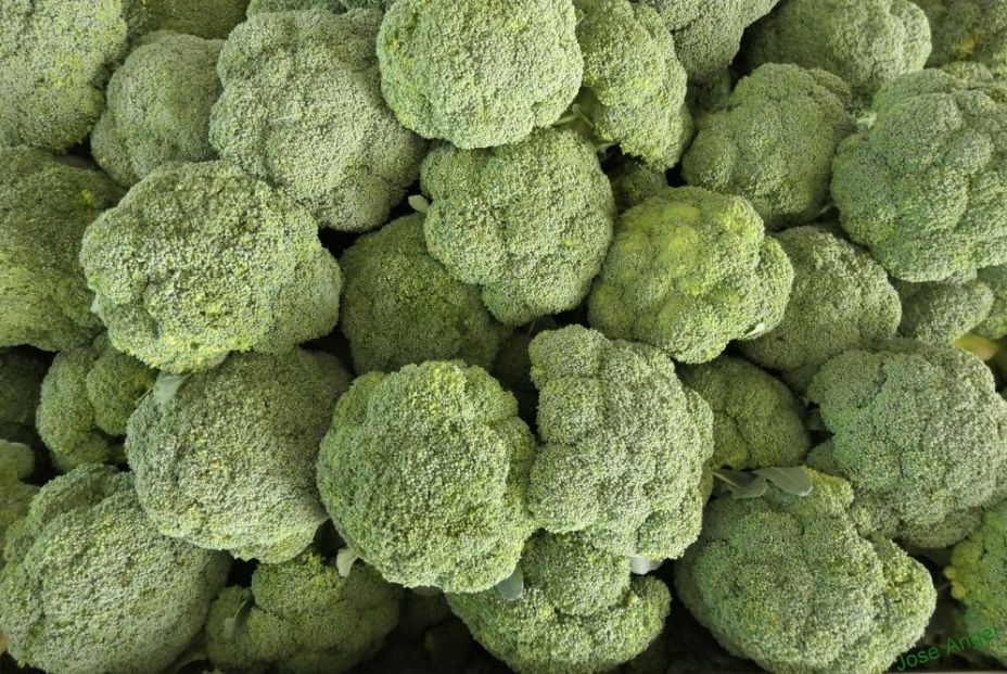 El 'boom' del brócoli: hemos multiplicado por 10 su consumo